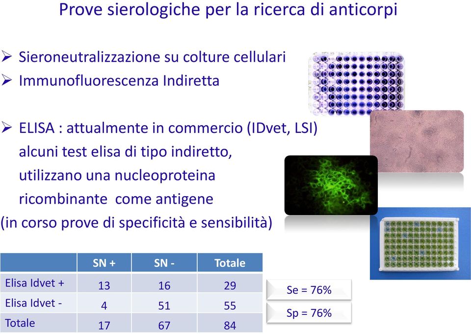 tipo indiretto, utilizzano una nucleoproteina ricombinante come antigene (in corso prove di