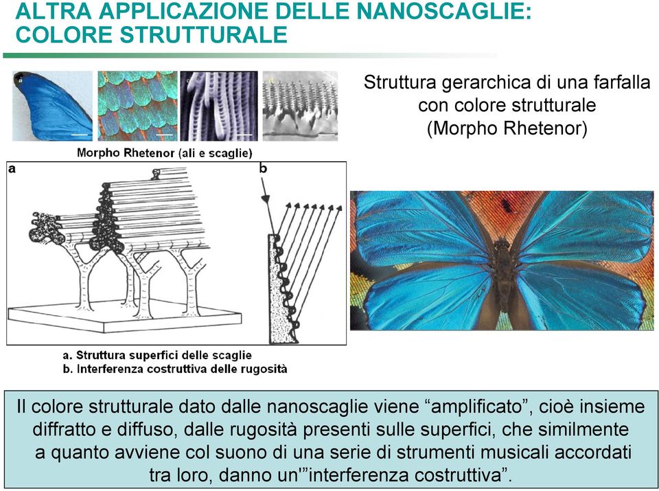 cioè insieme diffratto e diffuso, dalle rugosità presenti sulle superfici, che similmente a quanto