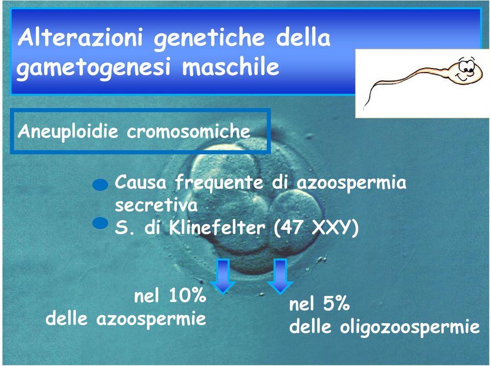 azoospermia secretiva S.