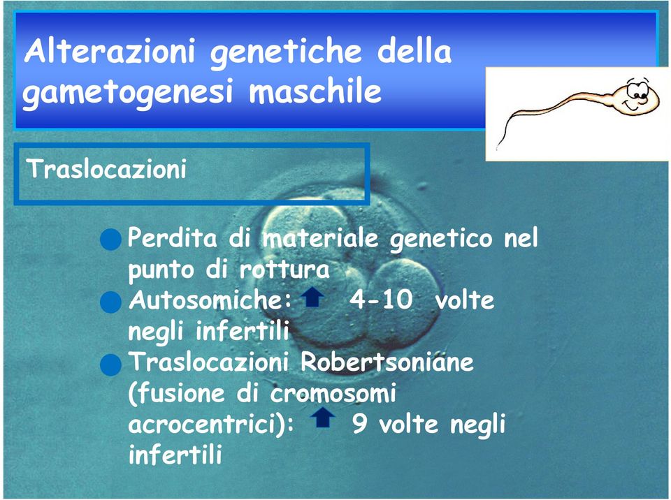 rottura Autosomiche: 4-10 volte negli infertili