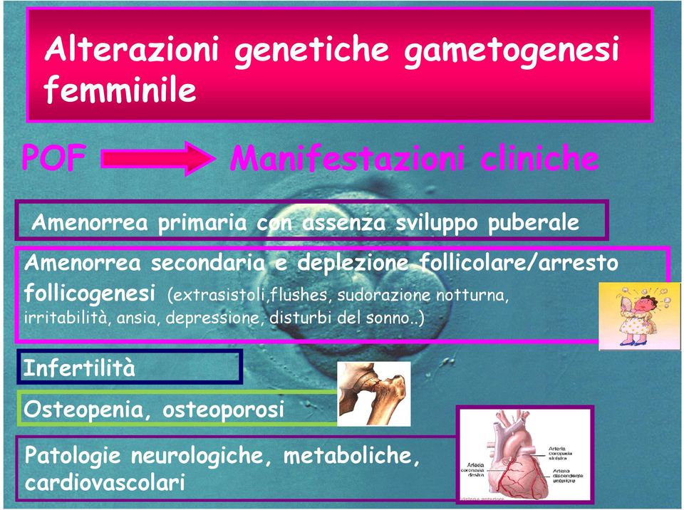 follicogenesi (extrasistoli,flushes, sudorazione notturna, irritabilità, ansia, depressione,