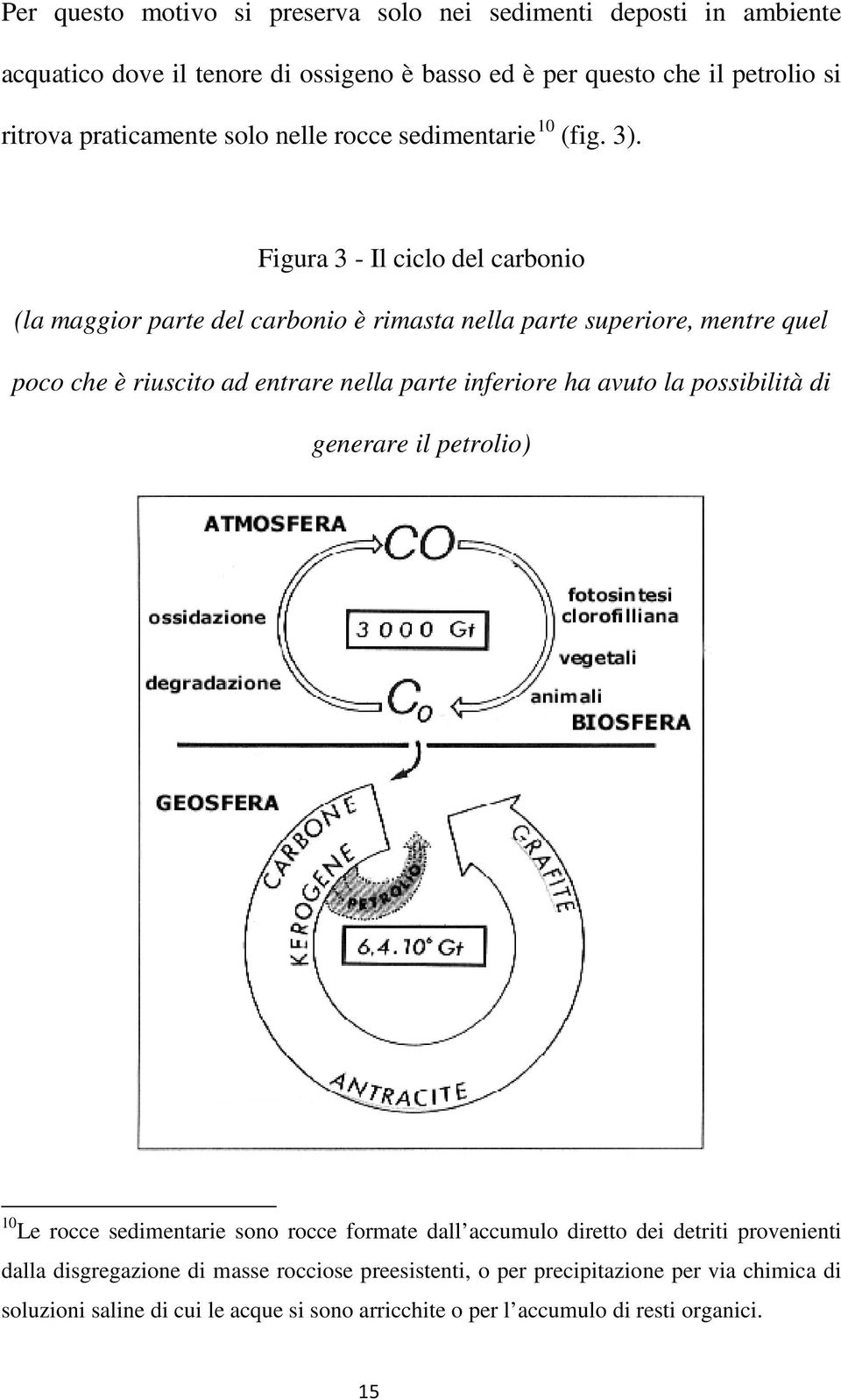 Figura 3 - Il ciclo del carbonio (la maggior parte del carbonio è rimasta nella parte superiore, mentre quel poco che è riuscito ad entrare nella parte inferiore ha avuto la