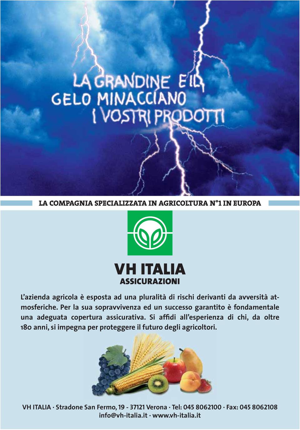 Per la sua sopravvivenza ed un successo garantito è fondamentale una adeguata copertura assicurativa.