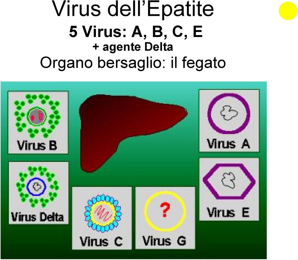 agente Delta Organo