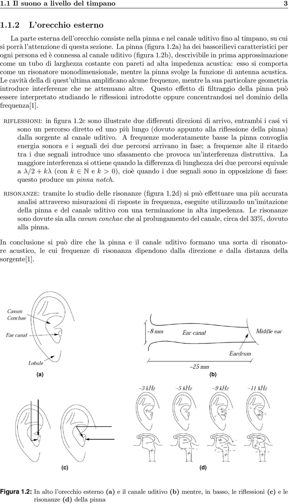 2b), descrivibile in prima approssimazione come un tubo di larghezza costante con pareti ad alta impedenza acustica: esso si comporta come un risonatore monodimensionale, mentre la pinna svolge la