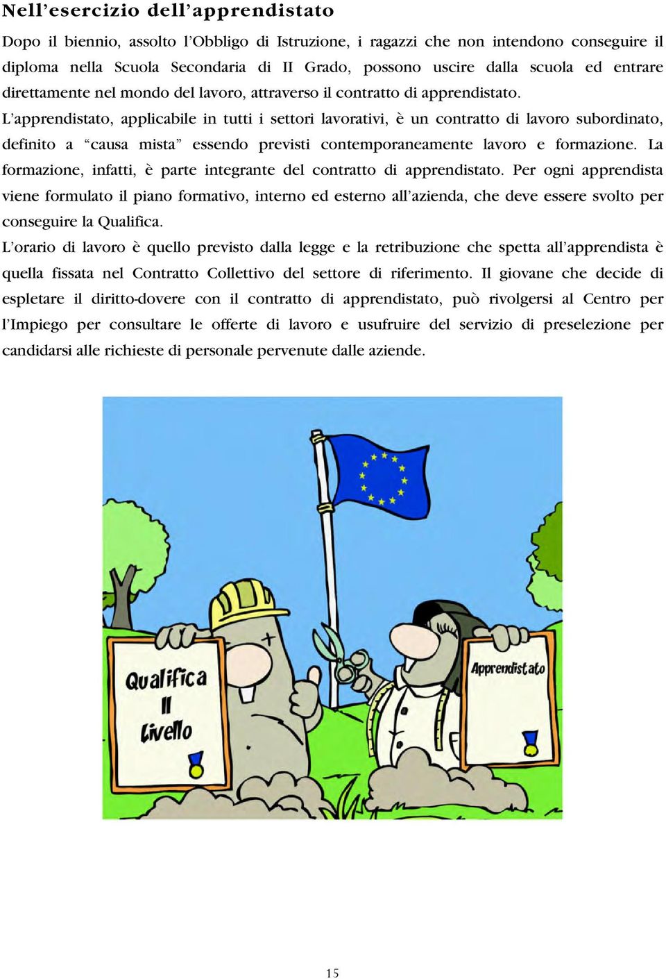 L apprendistato, applicabile in tutti i settori lavorativi, è un contratto di lavoro subordinato, definito a causa mista essendo previsti contemporaneamente lavoro e formazione.