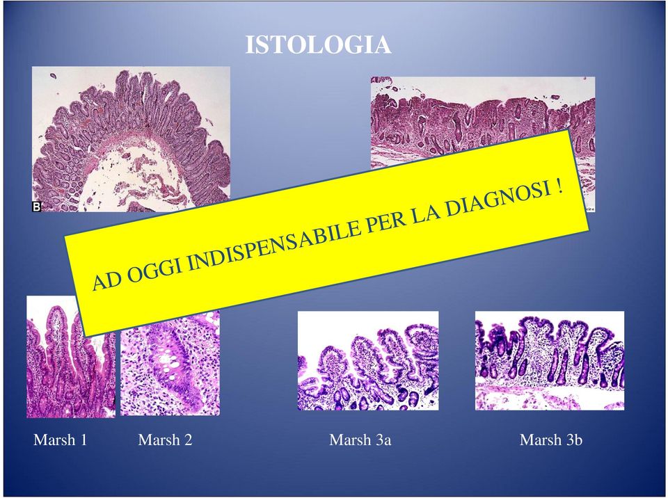 LA DIAGNOSI!