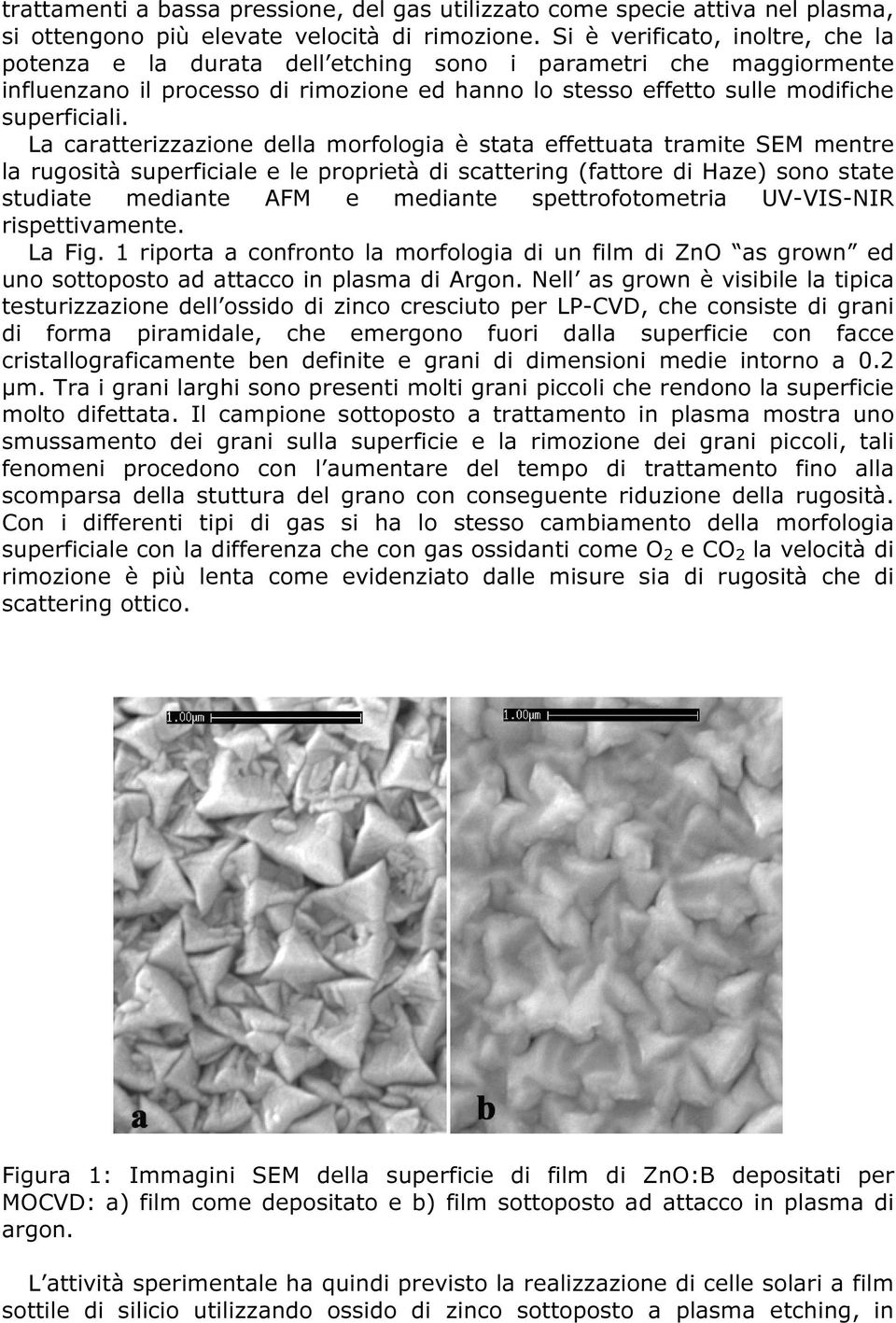 La caratterizzazione della morfologia è stata effettuata tramite SEM mentre la rugosità superficiale e le proprietà di scattering (fattore di Haze) sono state studiate mediante AFM e mediante