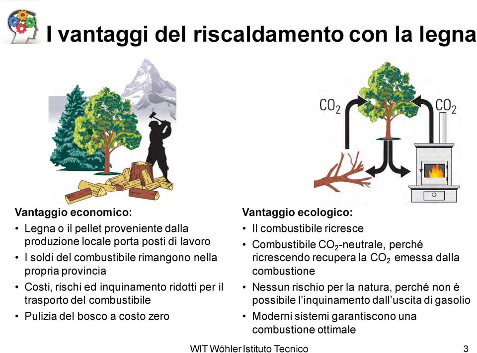 bosco a costo zero Vantaggio ecologico: Il combustibile ricresce Combustibile CO 2 -neutrale, perché ricrescendo recupera la CO 2 emessa dalla