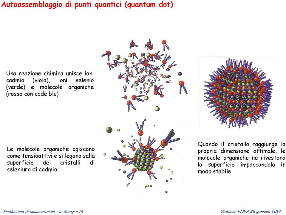 cristalli di seleniuro di cadmio Quando il cristallo raggiunge la propria dimensione ottimale, le molecole prganiche ne