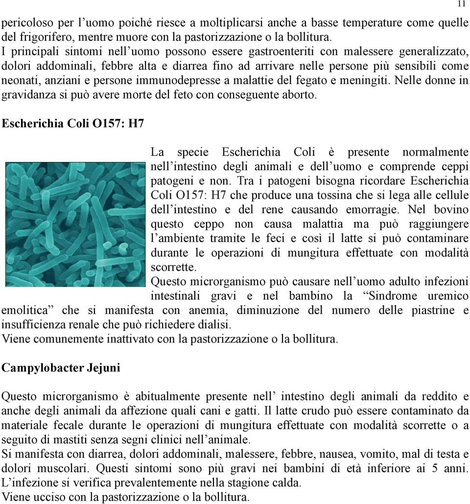 persone immunodepresse a malattie del fegato e meningiti. Nelle donne in gravidanza si può avere morte del feto con conseguente aborto.