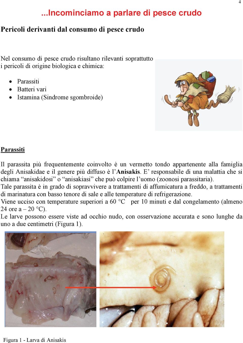 Anisakis. E responsabile di una malattia che si chiama anisakidosi o anisakiasi che può colpire l uomo (zoonosi parassitaria).