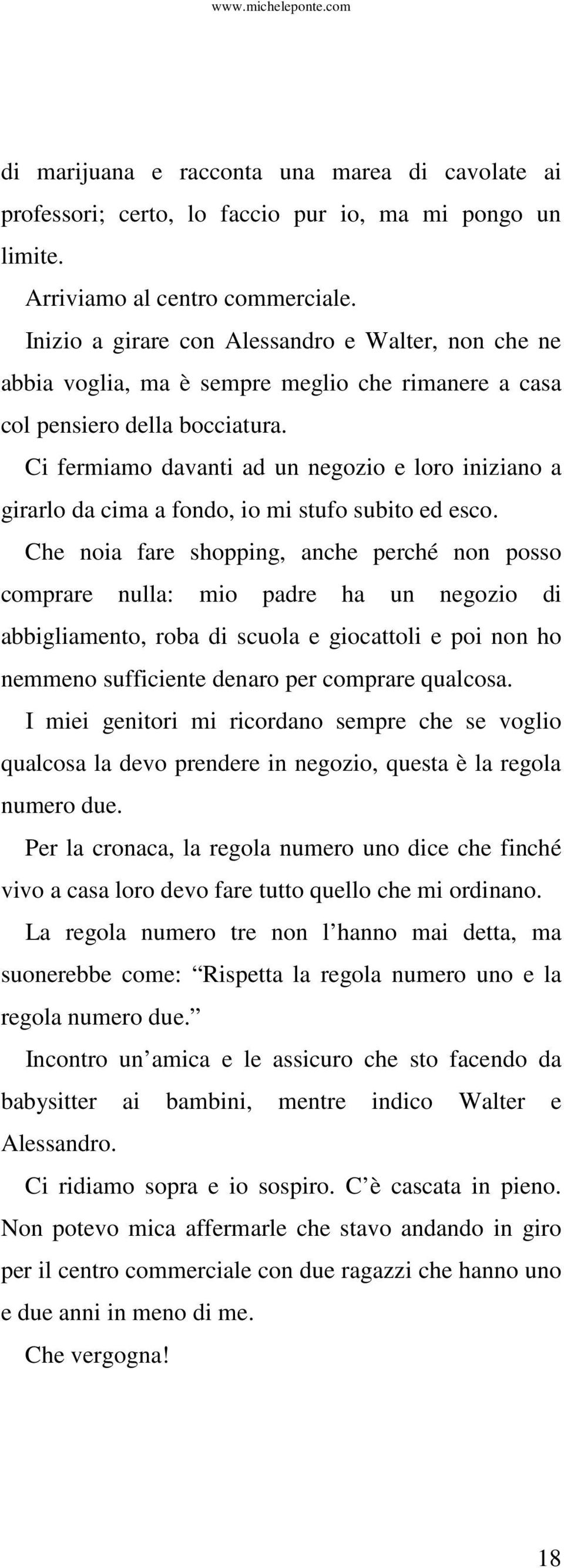 Ci fermiamo davanti ad un negozio e loro iniziano a girarlo da cima a fondo, io mi stufo subito ed esco.