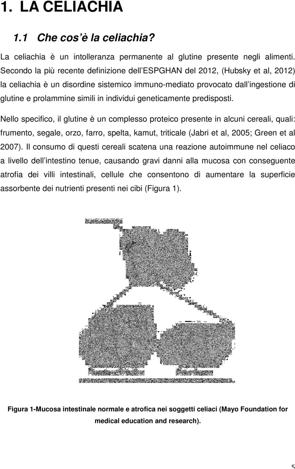 individui geneticamente predisposti.