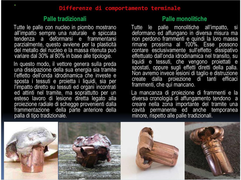 In questo modo, il vettore genera sulla preda una dissipazione della sua energia sia tramite l effetto dell onda idrodinamica che investe e sposta i tessuti e proietta i liquidi, sia per l impatto