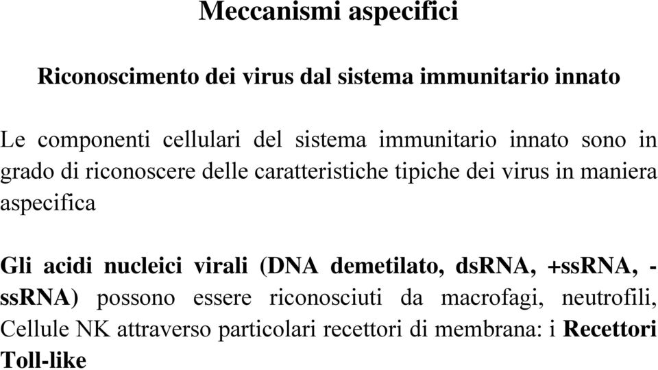 maniera aspecifica Gli acidi nucleici virali (DNA demetilato, dsrna, +ssrna, - ssrna) possono essere