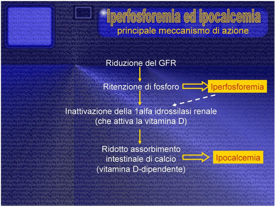 1alfa idrossilasi renale (che attiva la vitamina D) Ridotto