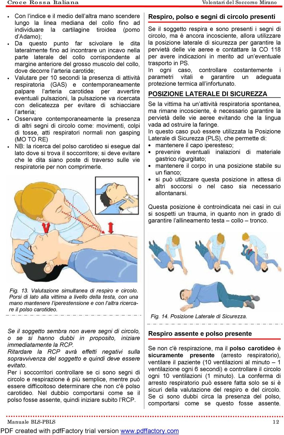 attività respiratoria (GAS) e contemporaneamente palpare l arteria carotidea per avvertire eventuali pulsazioni, la pulsazione va ricercata con delicatezza per evitare di schiacciare l arteria;