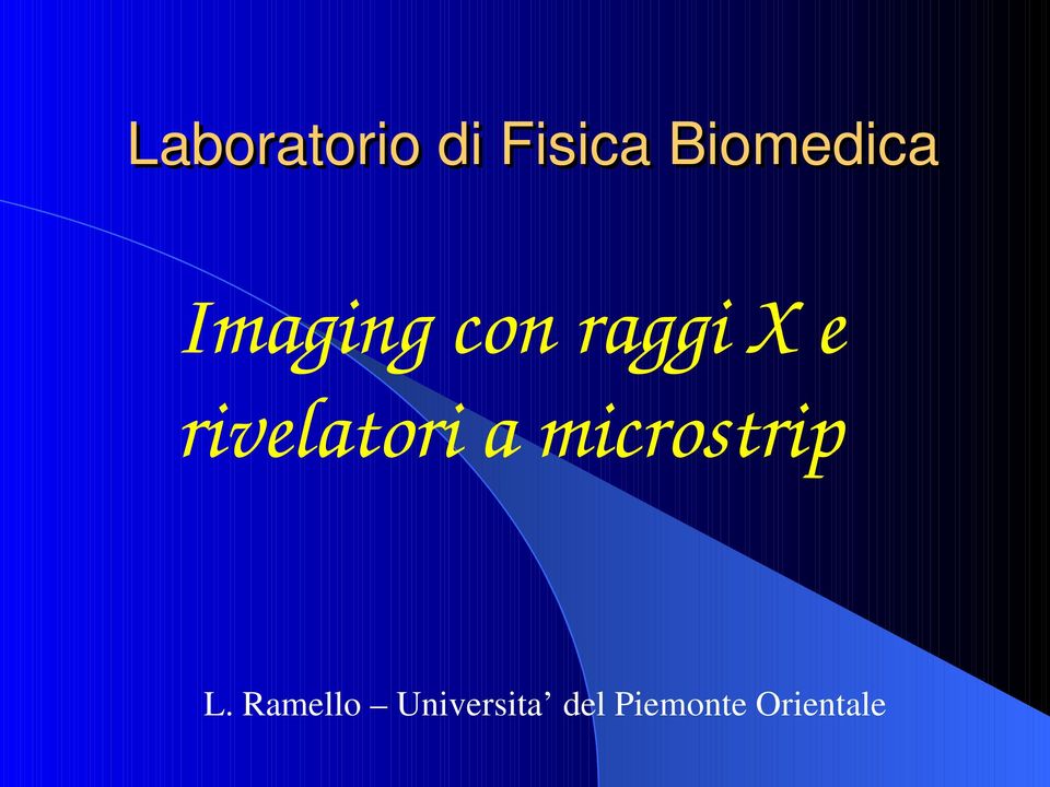 e rivelatori a microstrip L.