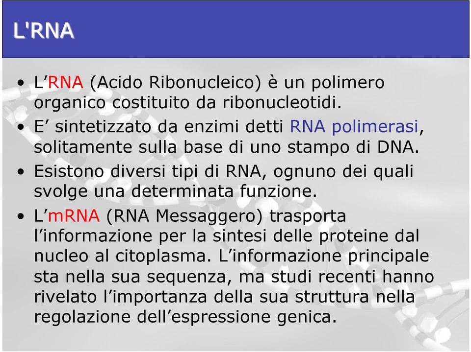 Esistono diversi tipi di RNA, ognuno dei quali svolge una determinata funzione.