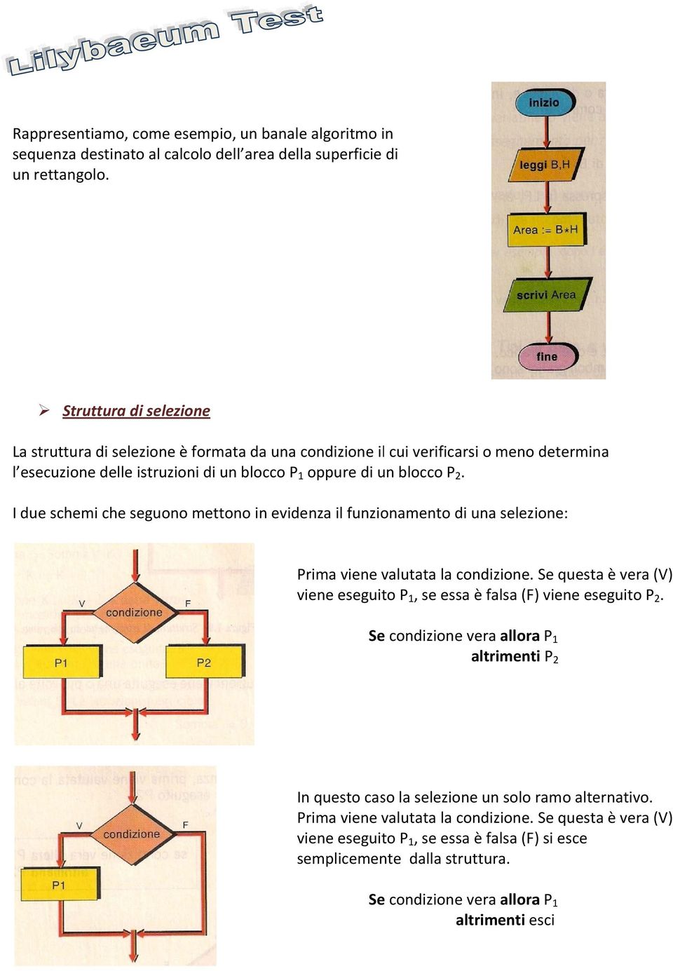 I due schemi che seguono mettono in evidenza il funzionamento di una selezione: Prima viene valutata la condizione. Se questa è vera (V) viene eseguito P 1, se essa è falsa (F) viene eseguito P 2.