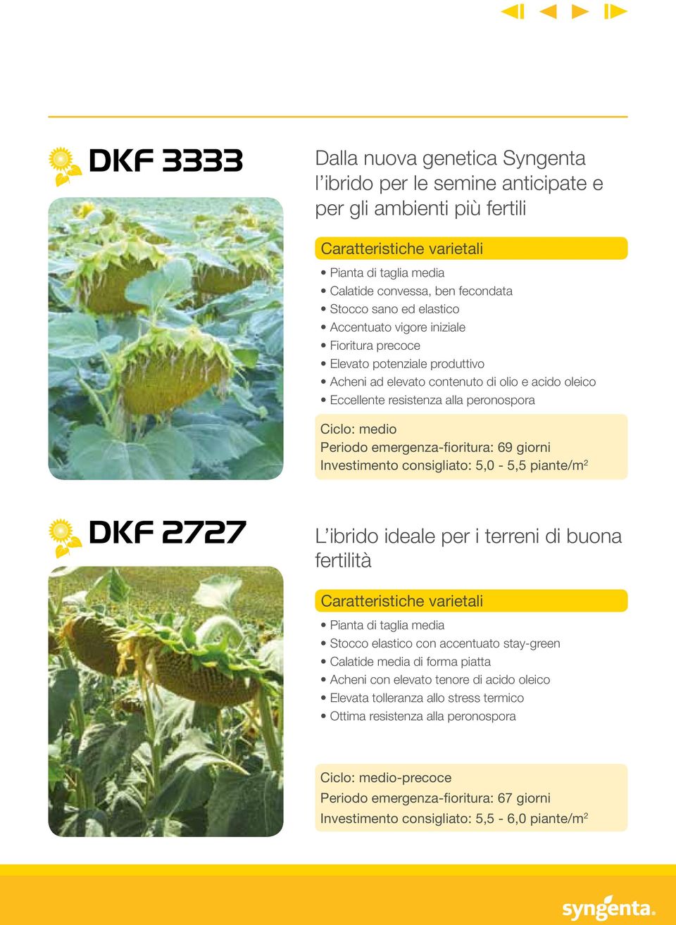 giorni Investimento consigliato: 5,0-5,5 piante/m 2 DKF 2727 L ibrido ideale per i terreni di buona fertilità Pianta di taglia media Stocco elastico con accentuato stay-green Calatide media di forma