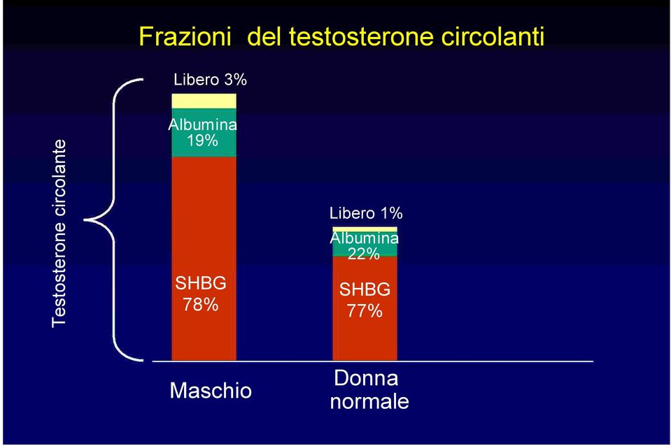 Albumina 19% SHBG 78% Libero 1%