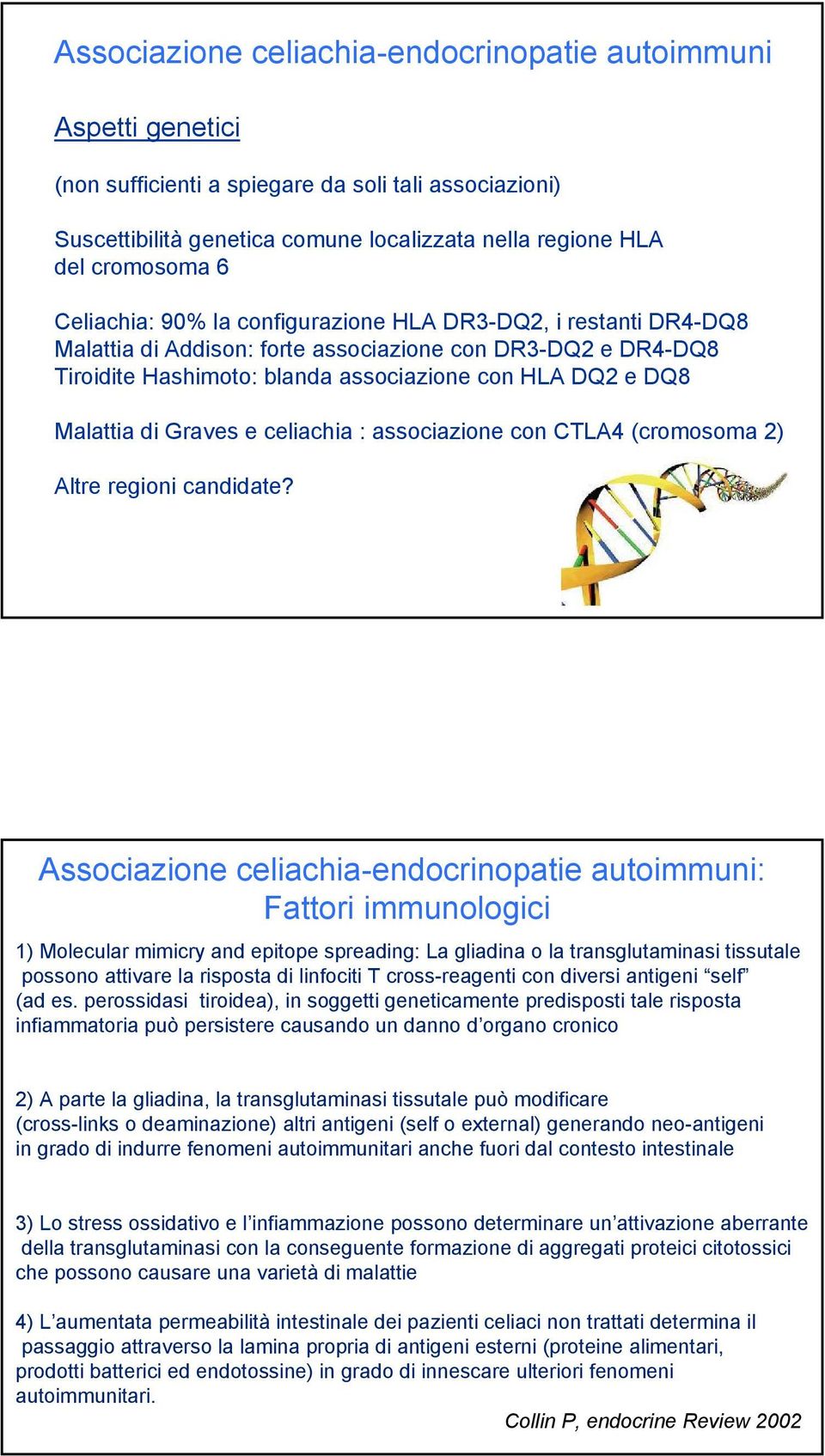 Graves e celiachia : associazione con CTLA4 (cromosoma 2) Altre regioni candidate?