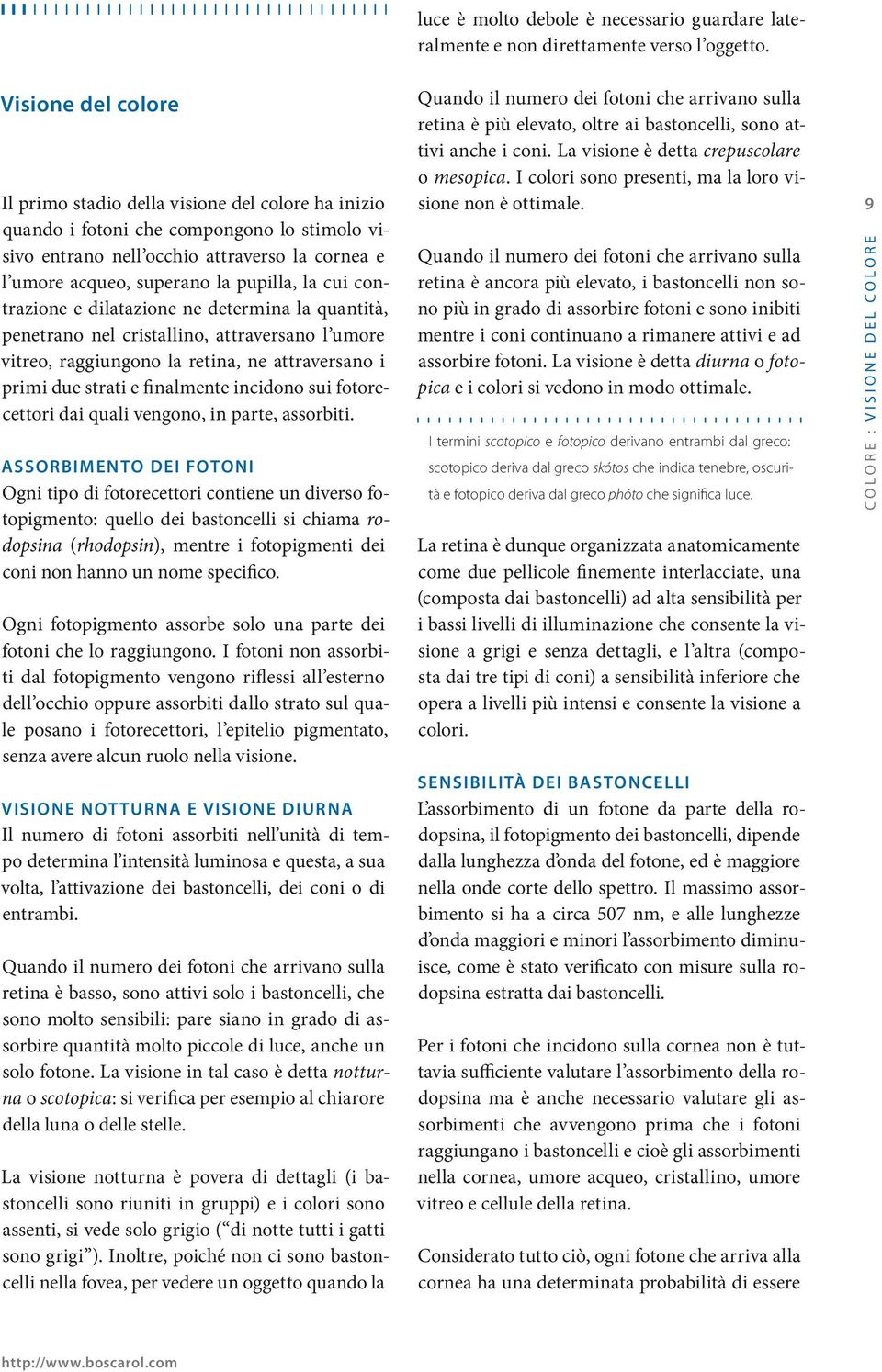 la cui contrazione e dilatazione ne determina la quantità, penetrano nel cristallino, attraversano l umore vitreo, raggiungono la retina, ne attraversano i primi due strati e finalmente incidono sui