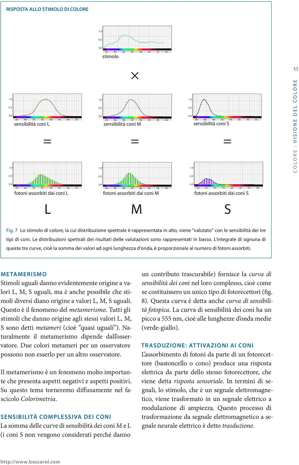 Le distribuzioni spettrali dei risultati delle valutazioni sono rappresentati in basso.