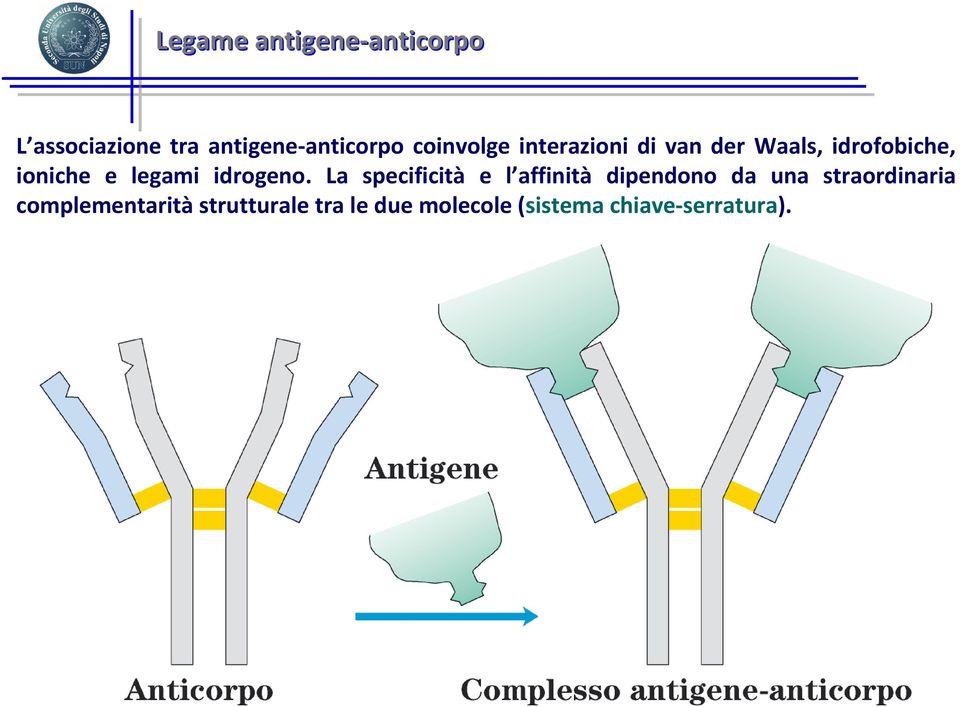 idrogeno.