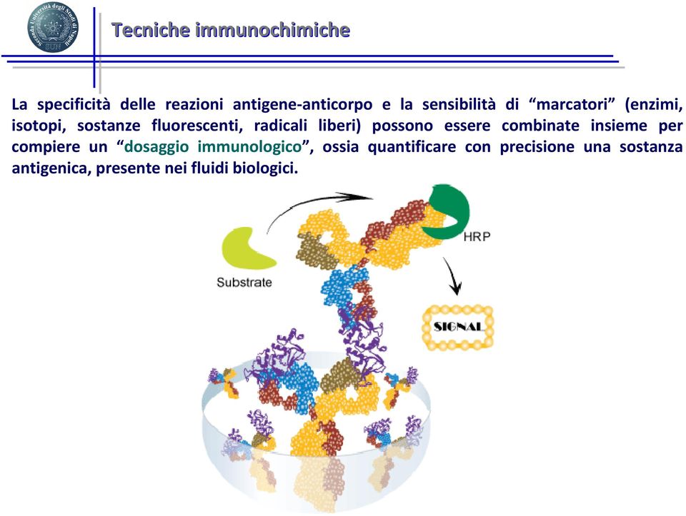 liberi) possono essere combinate insieme per compiere un dosaggio immunologico,