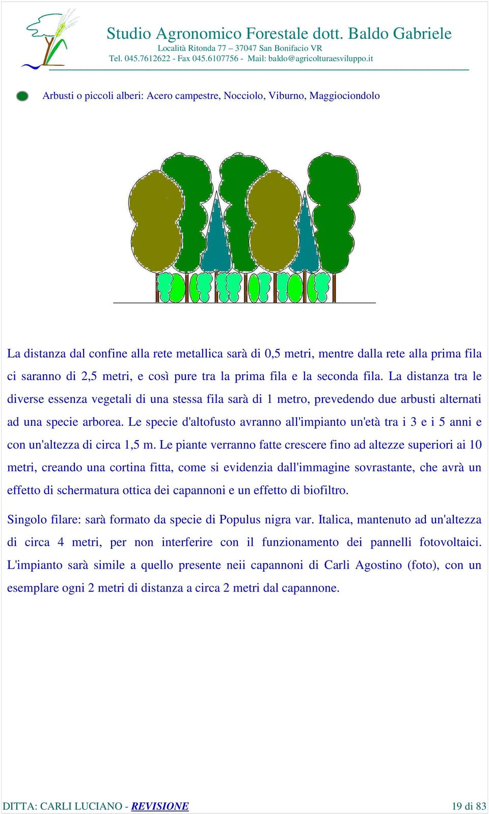 Le specie d'altofusto avranno all'impianto un'età tra i 3 e i 5 anni e con un'altezza di circa 1,5 m.