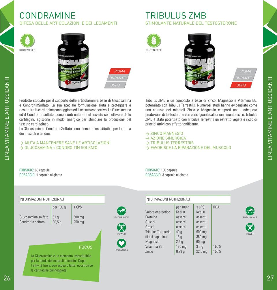 La Glucosamina ed il Condroitin solfato, componenti naturali del tessuto connettivo e delle cartilagini, agiscono in modo sinergico per stimolare la produzione del tessuto cartilagineo.