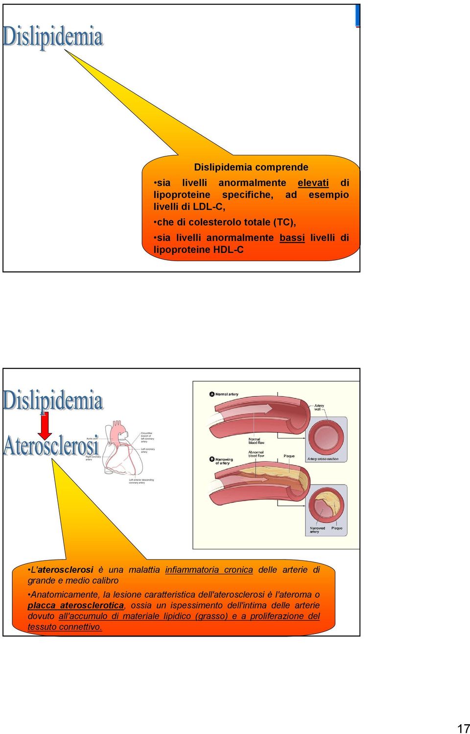 arterie di grande e medio calibro Anatomicamente, la lesione caratteristica dell'aterosclerosi è l'ateroma o placca aterosclerotica,