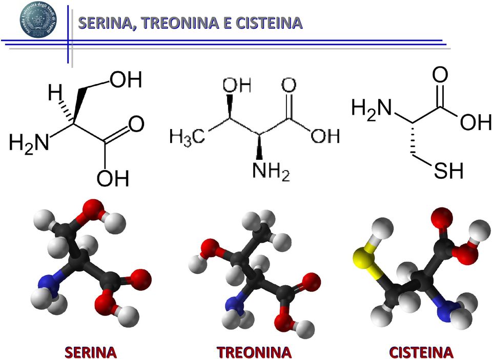 CISTEINA