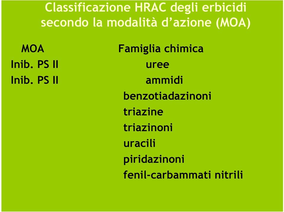 PS II Famiglia chimica uree ammidi benzotiadazinoni