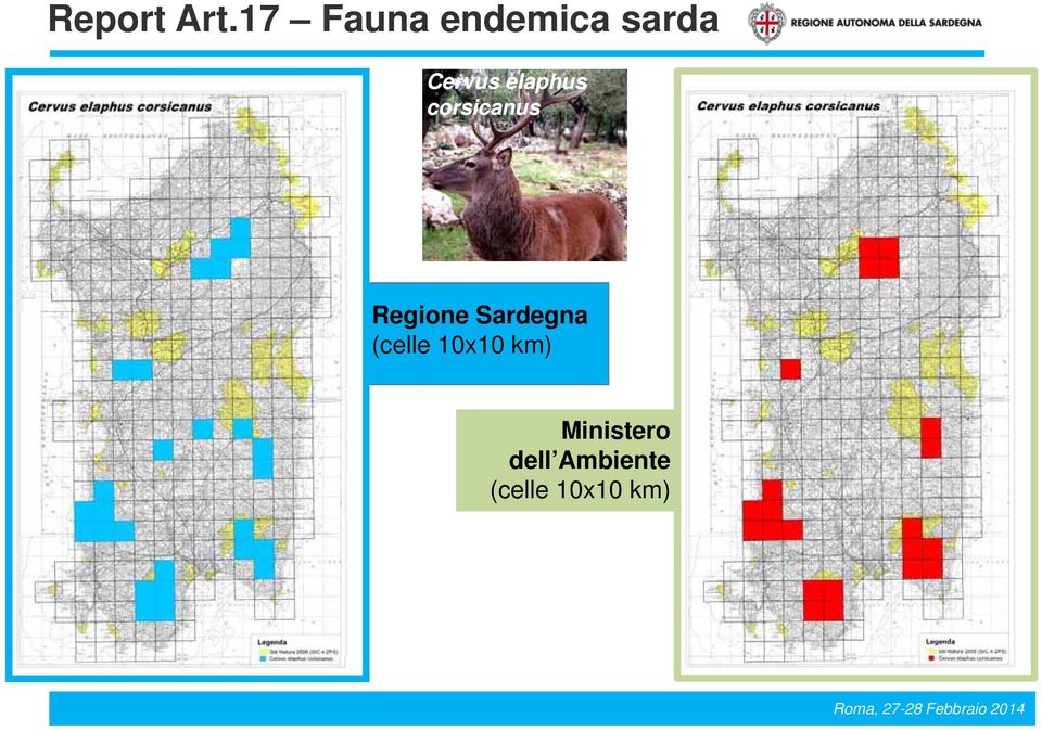 elaphus corsicanus Regione