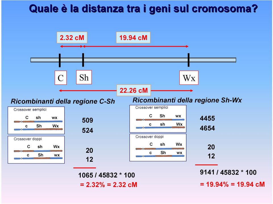 Sh Wx 509 524 Sh wx sh Wx 4455 4654 sh Wx Sh wx 20 12 sh Wx Sh wx 20 12