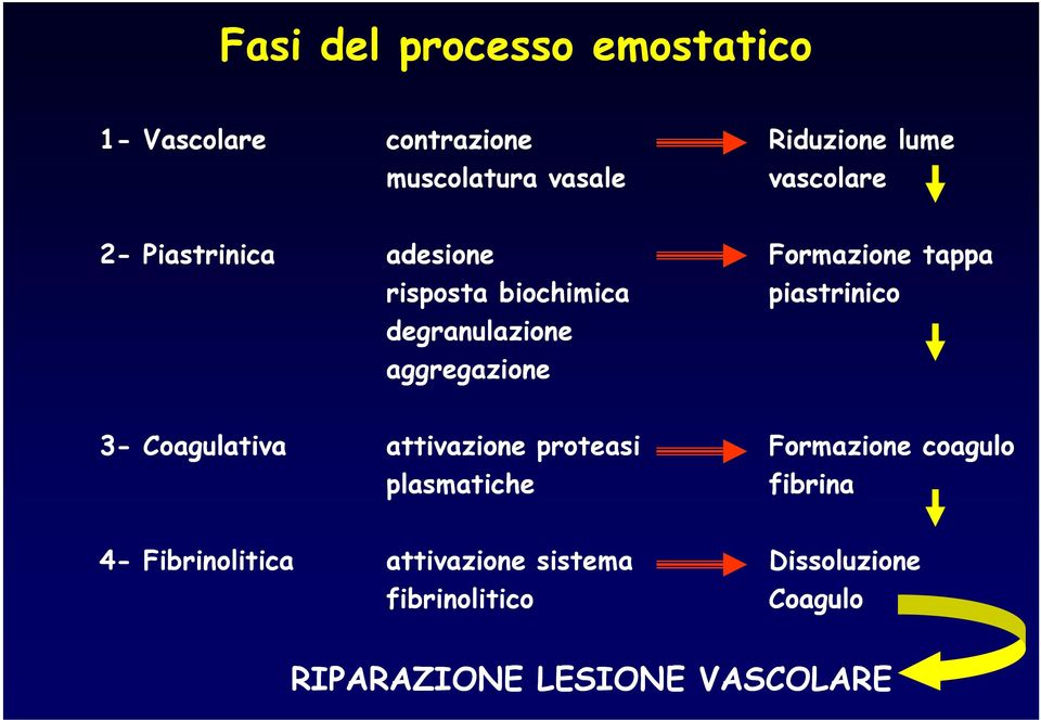 tappa piastrinico 3- Coagulativa attivazione proteasi plasmatiche Formazione coagulo fibrina