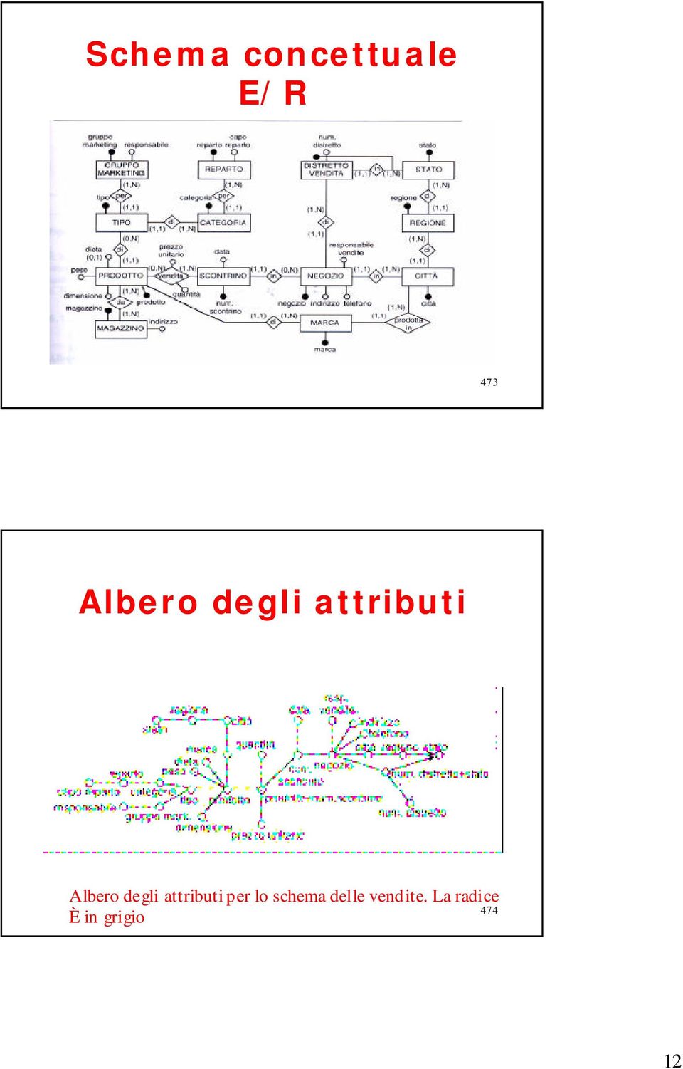 degli attributi per lo schema