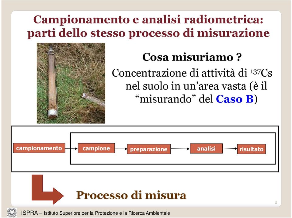 Concentrazione di attività di 137 Cs nel suolo in un area vasta