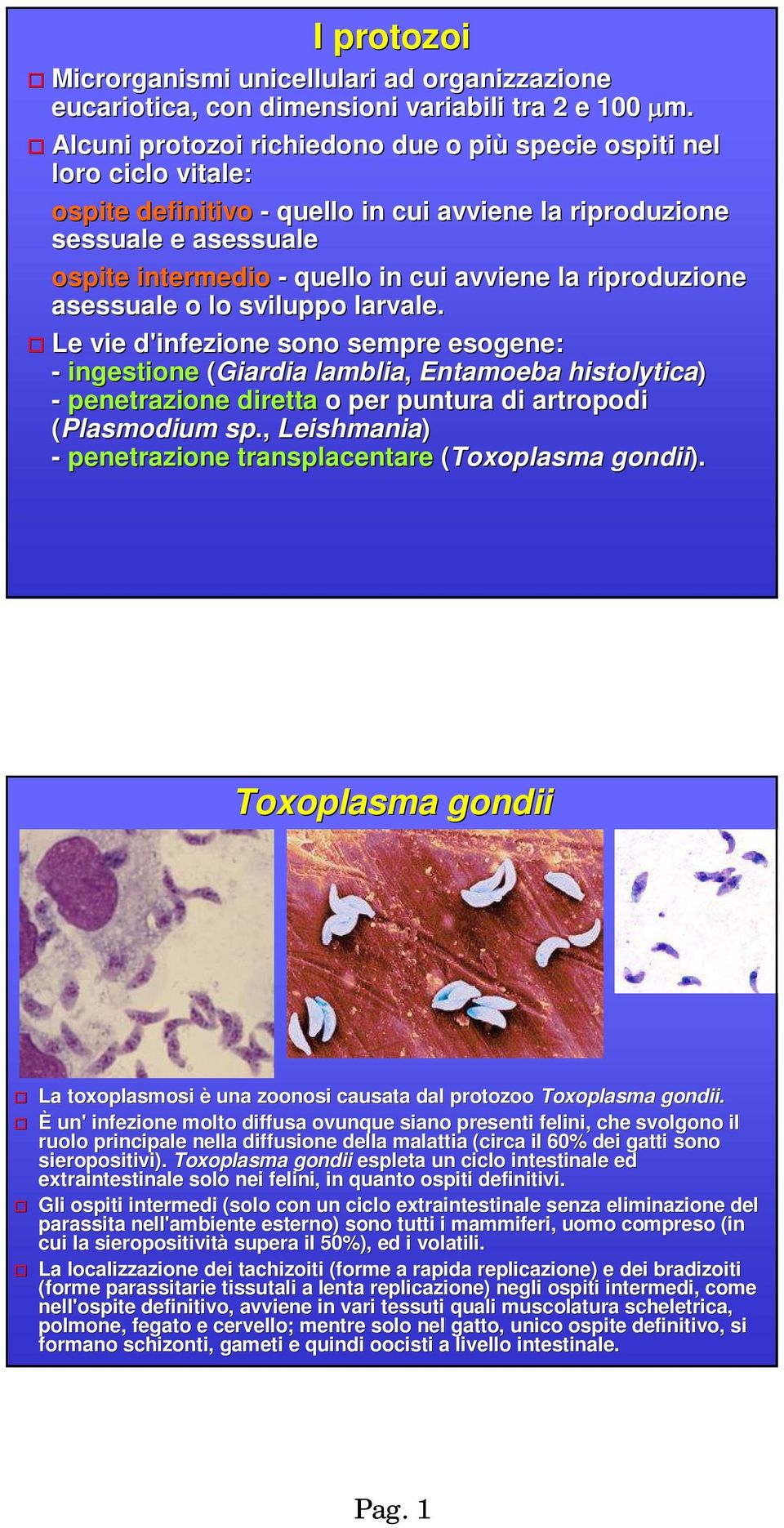 riproduzione asessuale o lo sviluppo larvale.