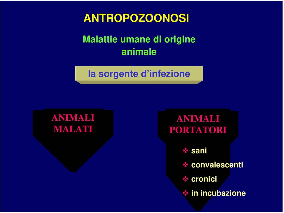 infezione ANIMALI MALATI ANIMALI