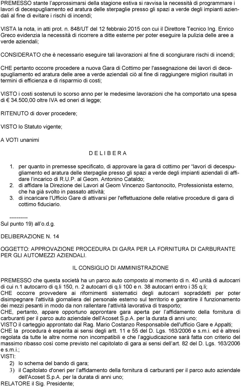 Enrico Greco evidenzia la necessità di ricorrere a ditte esterne per poter eseguire la pulizia delle aree a verde aziendali; CONSIDERATO che è necessario eseguire tali lavorazioni al fine di