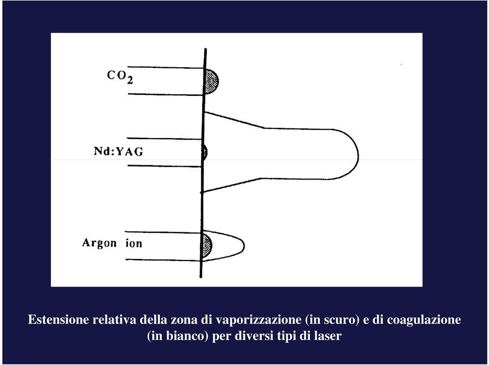 scuro) e di coagulazione (in