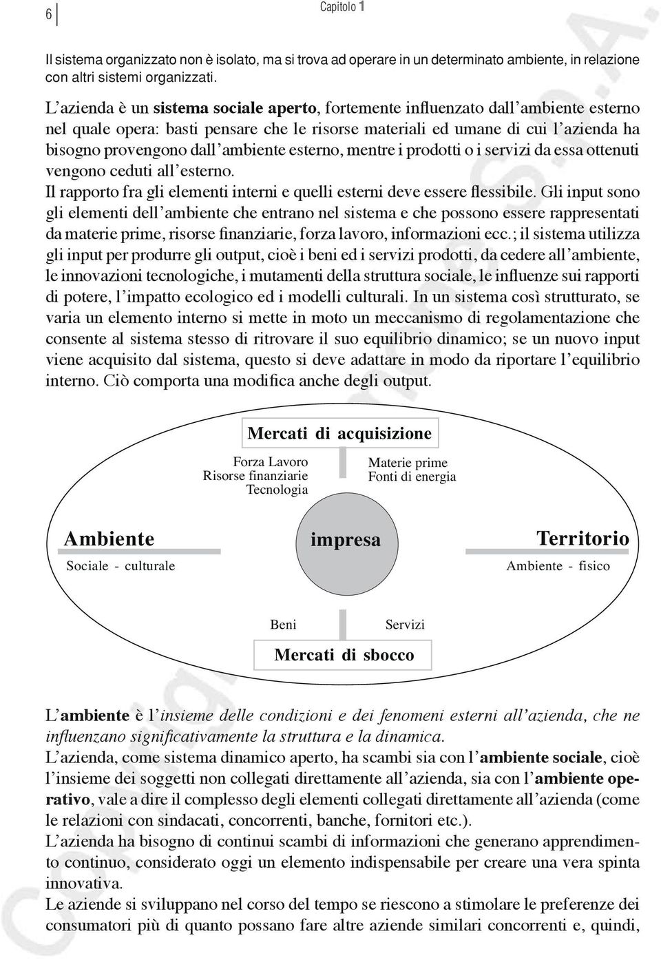 ambiente esterno, mentre i prodotti o i servizi da essa ottenuti vengono ceduti all esterno. Il rapporto fra gli elementi interni e quelli esterni deve essere flessibile.