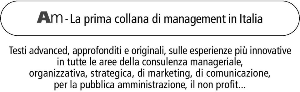 le aree della consulenza manageriale, organizzativa, strategica, di