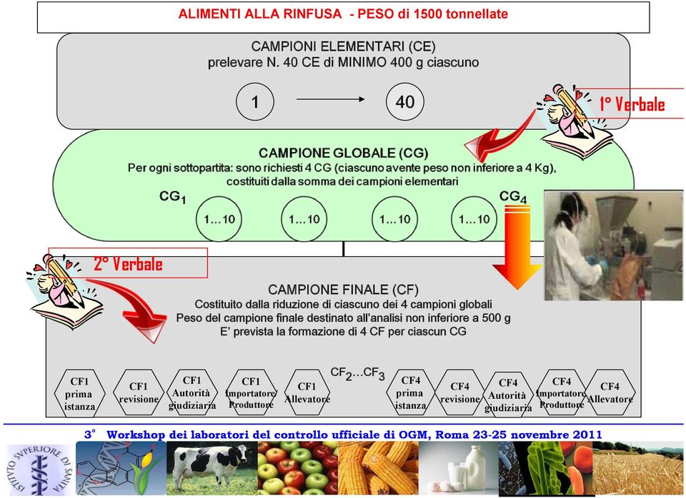 globali Peso del campione finale destinato all analisi non inferiore a 500 g E prevista la formazione di 4 CF per ciascun CG CF1 prima