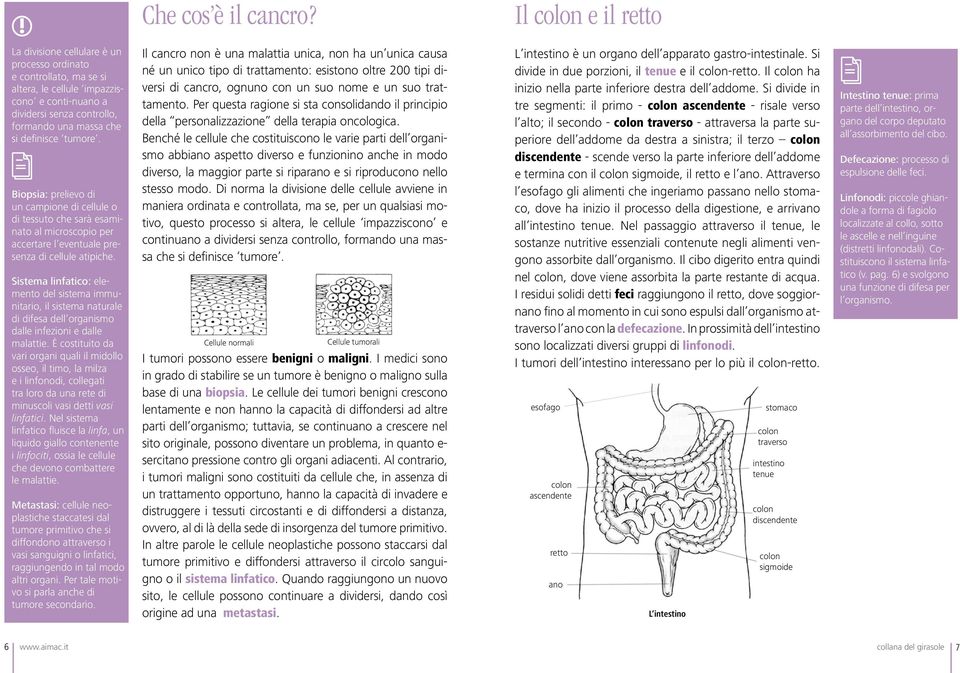 tumore. Biopsia: prelievo di un campione di cellule o di tessuto che sarà esaminato al microscopio per accertare l eventuale presenza di cellule atipiche.